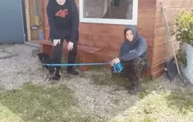 POMOC BEZDOMNYM ZWIERZĘTOM W SCHRONISKU 8