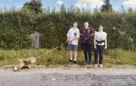 POMOC BEZDOMNYM ZWIERZĘTOM W SCHRONISKU 9