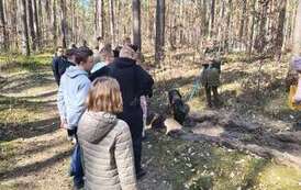 Wycieczka do Nadleśnictwa Drawno &ndash; Leśnictwo Zdan&oacute;w 31