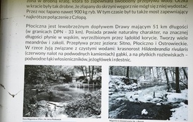 Wycieczka do Drawieńskiego Parku Narodowego 11