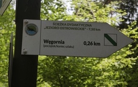 Wycieczka do Drawieńskiego Parku Narodowego 13