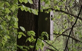 Wycieczka do Drawieńskiego Parku Narodowego 19