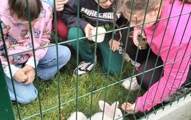 Wycieczka do Zielonego Zakątka w Wiewiecku 2
