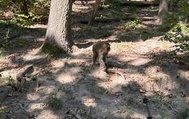 Wycieczka do Zoo w Poznaniu 9