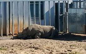 Wycieczka do Zoo w Poznaniu 15