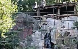 Wycieczka do Zoo w Poznaniu 20