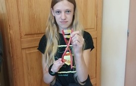 DNA (6)